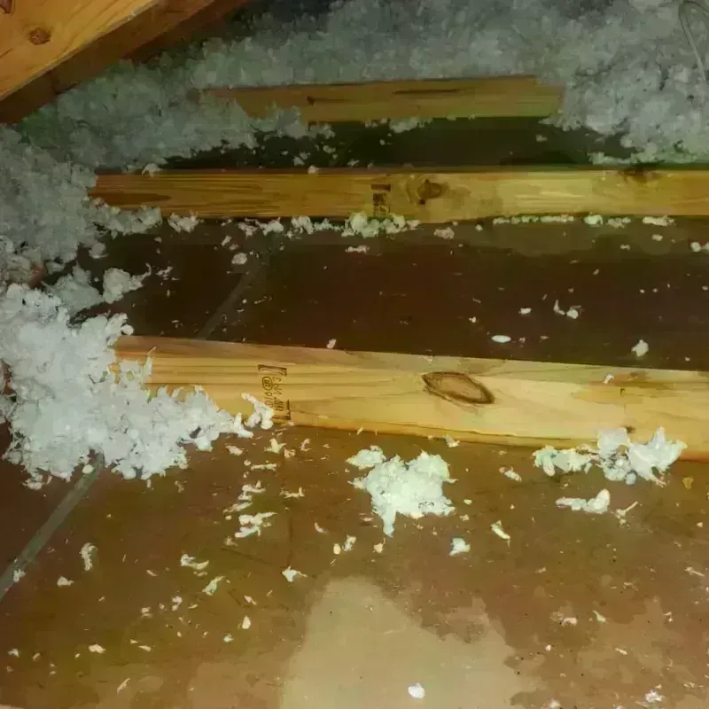 Attic Water Damage in Echols County, GA